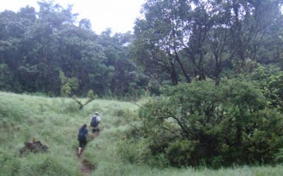 ಬೆಟ್ಟದ ಮೇಲಿನ ‘ಮನೆ’