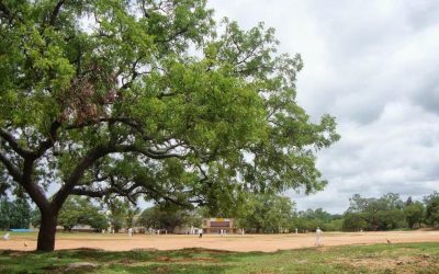 ಮಹಾರಾಜಾ ಕಾಲೇಜು ನೆನಪಿನ ದೋಣಿಯಲೀ…