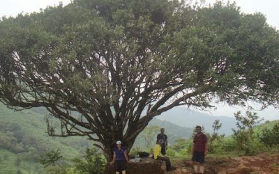 ಕುದುರೆಮೊಗ ದರ್ಶನ