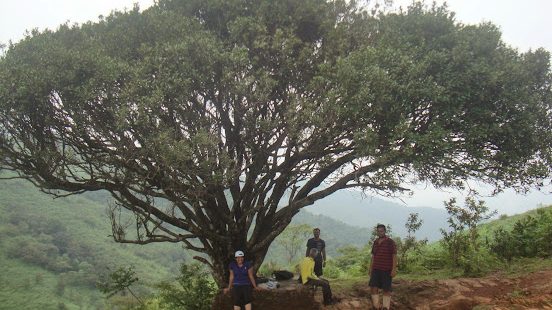 ಕುದುರೆಮೊಗ ದರ್ಶನ