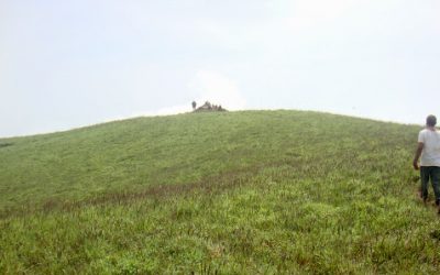 ಕುರಿಯಿಂದ ಕುದುರೆಗೆ