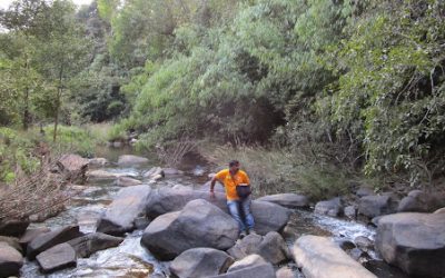 ಎತ್ತಿನ ಹೊಳೆಯಲ್ಲಿ ಸುಳ್ಳಿನ ಪ್ರವಾಹ